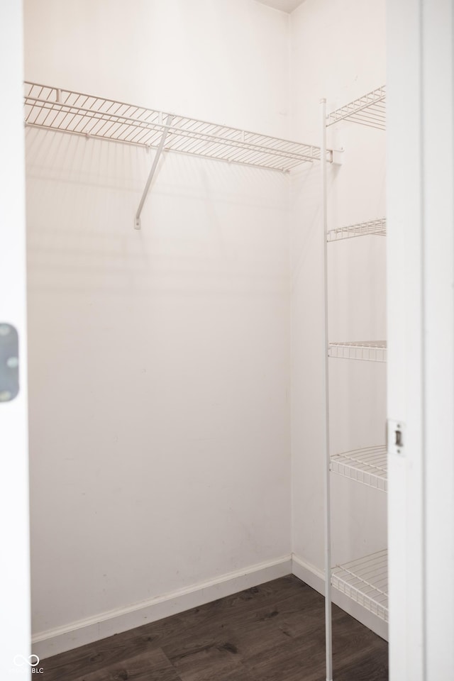 8317 Pine Branch Ln, Indianapolis, IN 46234 - walk in closet featuring dark wood-style flooring