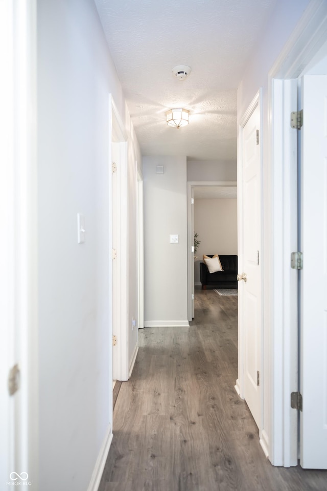 8317 Pine Branch Ln, Indianapolis, IN 46234 - hallway with wood finished floors and baseboards