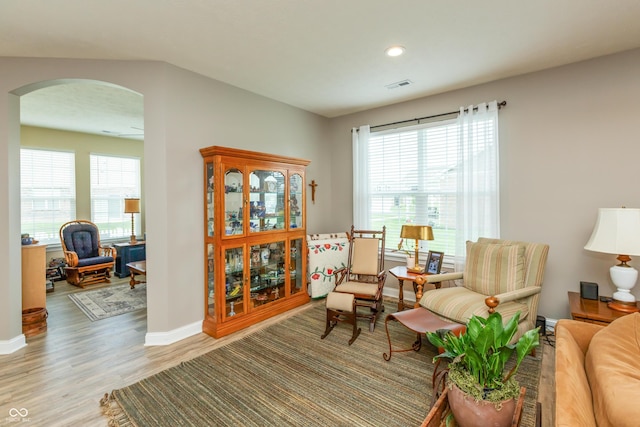 9166 Lieven St, Avon, IN 46123 - sitting room featuring arched walkways, light wood-style flooring, healthy amount of natural light, baseboards, and recessed lighting