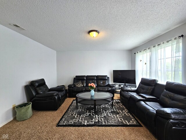 10836 Zimmerman Ln, Indianapolis, IN 46231 - living room with carpet flooring and a textured ceiling