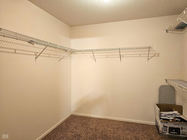 10836 Zimmerman Ln, Indianapolis, IN 46231 - spacious closet with carpet flooring