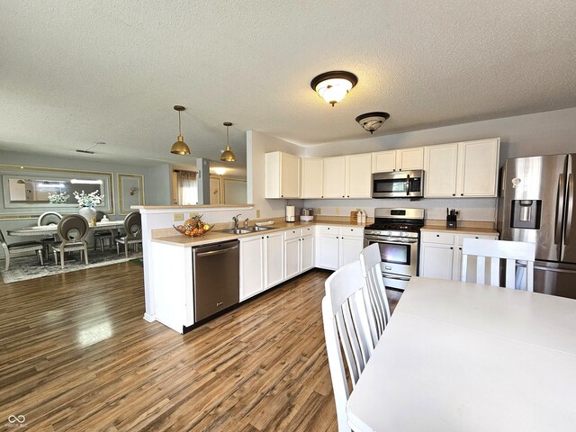 10836 Zimmerman Ln, Indianapolis, IN 46231 - kitchen with stainless steel appliances, a sink, a textured ceiling, a peninsula, and dark wood-type flooring