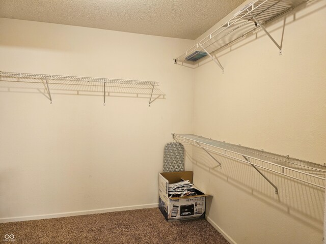 10836 Zimmerman Ln, Indianapolis, IN 46231 - walk in closet with carpet flooring