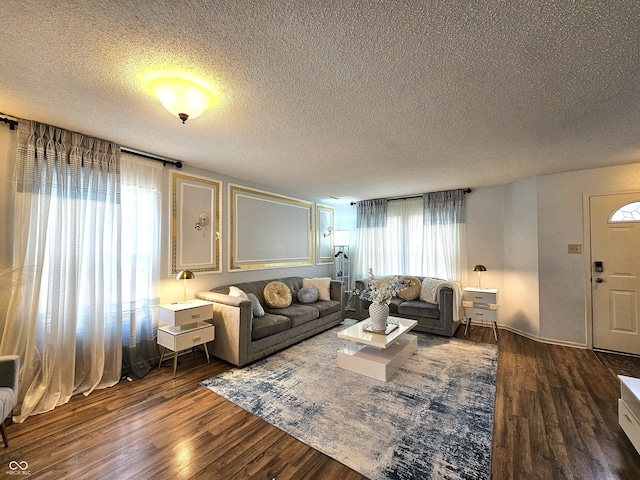 10836 Zimmerman Ln, Indianapolis, IN 46231 - living room featuring wood finished floors and a textured ceiling
