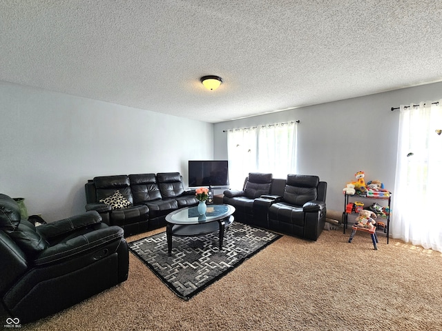 10836 Zimmerman Ln, Indianapolis, IN 46231 - carpeted living room with a textured ceiling