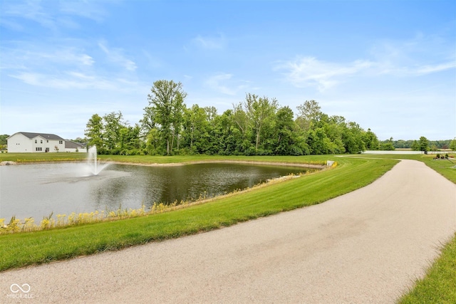 3980 Railhead Ave, Westfield, IN 46074 - water view