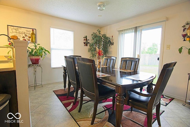 7737 Wolfgang Pl, Indianapolis, IN 46239 - dining area with plenty of natural light, a textured ceiling, and baseboards