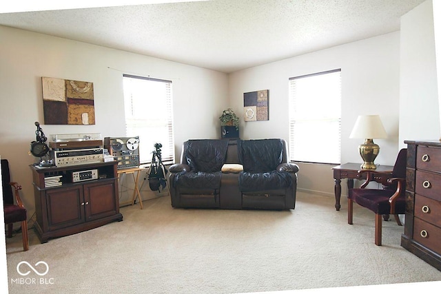 7737 Wolfgang Pl, Indianapolis, IN 46239 - living room with light carpet and healthy amount of natural light
