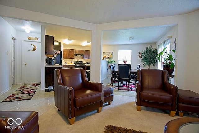 7737 Wolfgang Pl, Indianapolis, IN 46239 - living area with light colored carpet and a textured ceiling