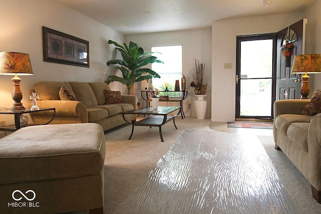 7737 Wolfgang Pl, Indianapolis, IN 46239 - living room with light colored carpet