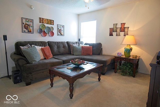 7737 Wolfgang Pl, Indianapolis, IN 46239 - carpeted living room featuring a textured ceiling