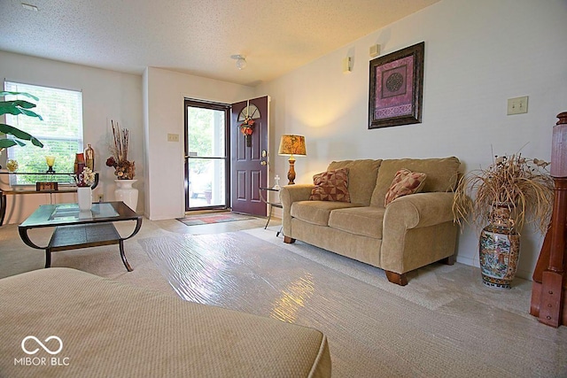 7737 Wolfgang Pl, Indianapolis, IN 46239 - living room featuring carpet floors, healthy amount of natural light, and a textured ceiling