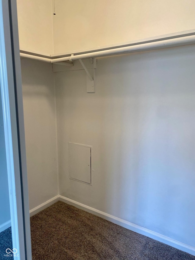1150 Canterbury Ct Apt D, Indianapolis, IN 46260 - spacious closet featuring dark colored carpet