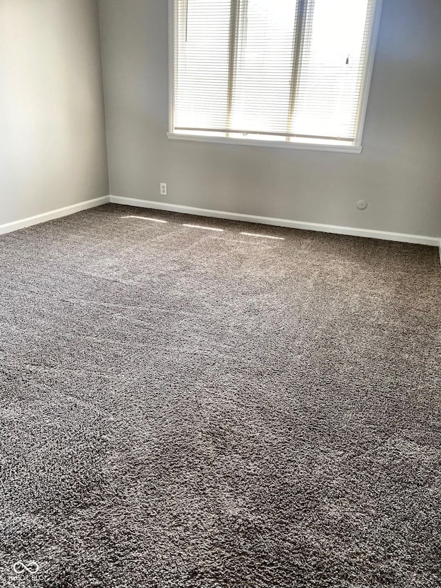 1150 Canterbury Ct Apt D, Indianapolis, IN 46260 - carpeted empty room with plenty of natural light and baseboards