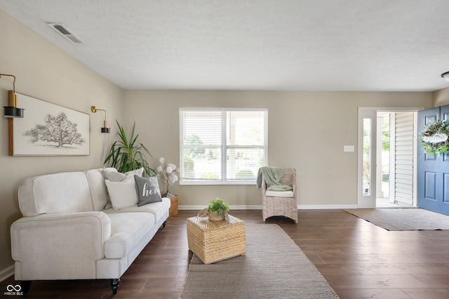 12331 Chiseled Stone Dr, Fishers, IN 46037 - living room with plenty of natural light, dark wood finished floors, and a textured ceiling
