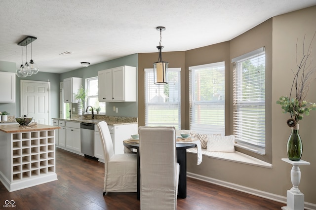 12331 Chiseled Stone Dr, Fishers, IN 46037 - kitchen featuring stainless steel dishwasher, dark wood-type flooring, plenty of natural light, white cabinetry, and a textured ceiling