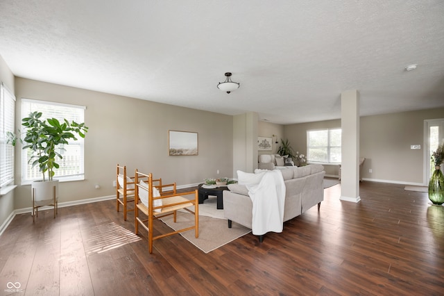 12331 Chiseled Stone Dr, Fishers, IN 46037 - living room featuring dark wood-style flooring and a textured ceiling