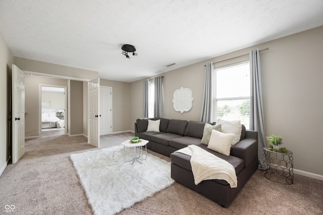 12331 Chiseled Stone Dr, Fishers, IN 46037 - living room featuring plenty of natural light and light carpet