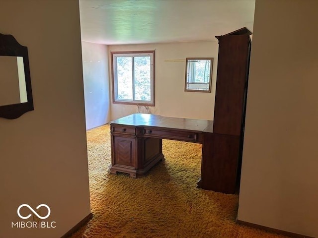 310 S Shady Ln, Muncie, IN 47304 - corridor featuring dark carpet