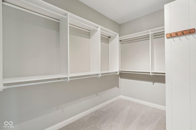 3744 Abney Point Dr, Carmel, IN 46077 - walk in closet with light colored carpet