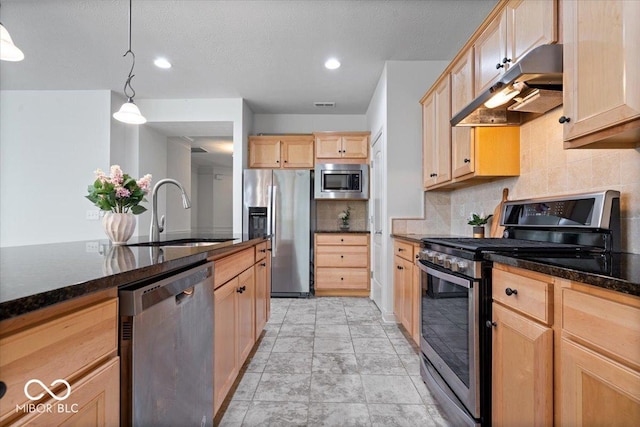 16573 Cava Dr, Fishers, IN 46037 - kitchen featuring stainless steel appliances, under cabinet range hood, a sink, tasteful backsplash, and light brown cabinets