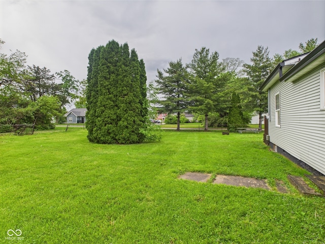 view of grassy yard