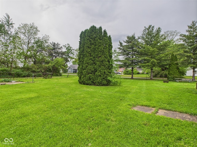 view of green lawn
