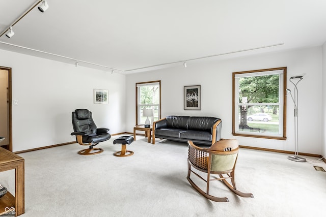 100 Wellington Rd, Indianapolis, IN 46260 - photo 8