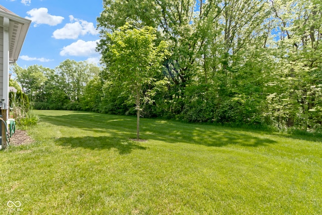 4125 Sugar Pine Ln, Zionsville, IN 46077 - photo 45