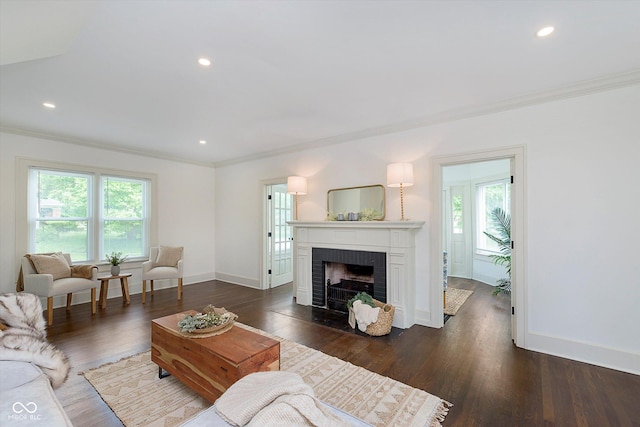 1502 Burdsal Pkwy, Indianapolis, IN 46208 - living area featuring crown molding, a fireplace, baseboards, dark wood-type flooring, and recessed lighting