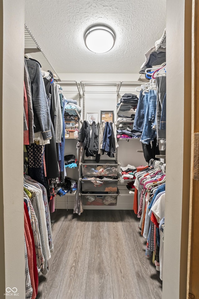 35 Osage Ct, Columbus, IN 47201 - walk in closet with wood finished floors