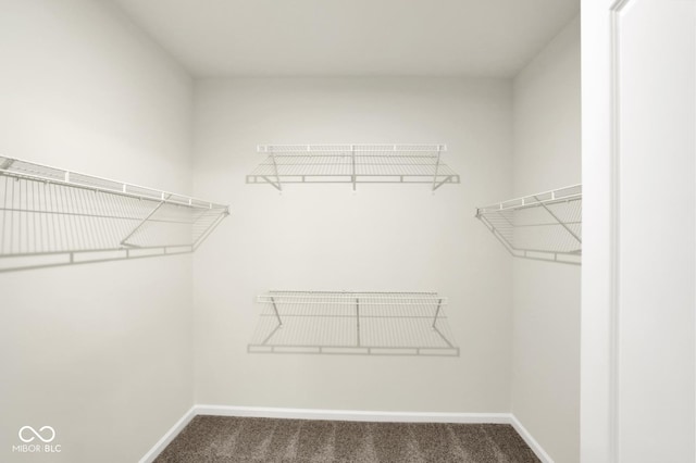 104 Maxim Ct, Cumberland, IN 46229 - spacious closet with carpet flooring