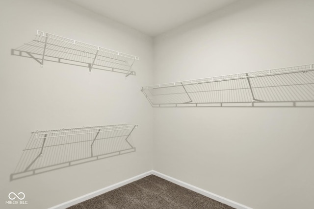 104 Maxim Ct, Cumberland, IN 46229 - walk in closet with dark carpet