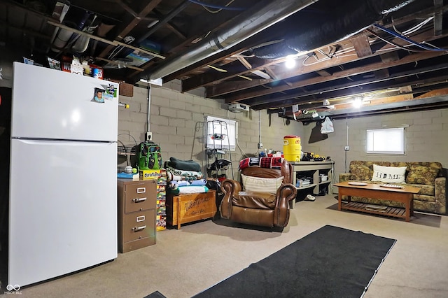 7335 Bethany Park, Martinsville, IN 46151 - below grade area with freestanding refrigerator and concrete block wall
