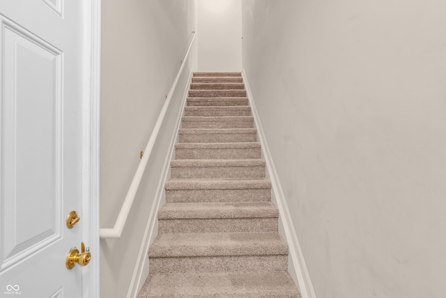 1139 Fernwood Way, Plainfield, IN 46168 - stairway with carpet and baseboards