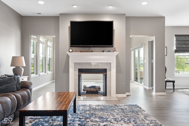 4659 W Otway Ln, New Palestine, IN 46163 - living room featuring a premium fireplace, wood finished floors, recessed lighting, and baseboards