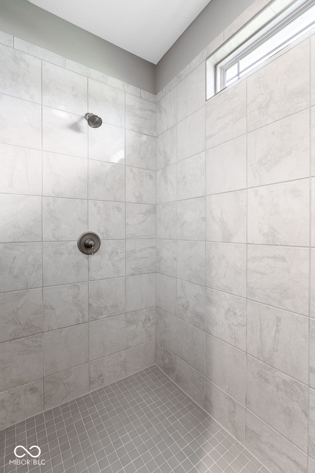 4659 W Otway Ln, New Palestine, IN 46163 - full bath with a tile shower