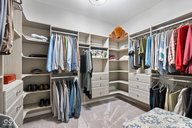 4659 W Otway Ln, New Palestine, IN 46163 - walk in closet with carpet flooring