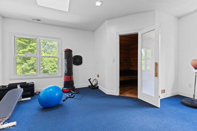6230 E 56th St, Indianapolis, IN 46226 - workout area featuring a skylight, baseboards, and carpet