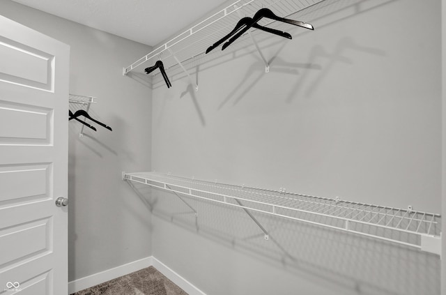 6683 Halsey St, Zionsville, IN 46077 - spacious closet featuring carpet
