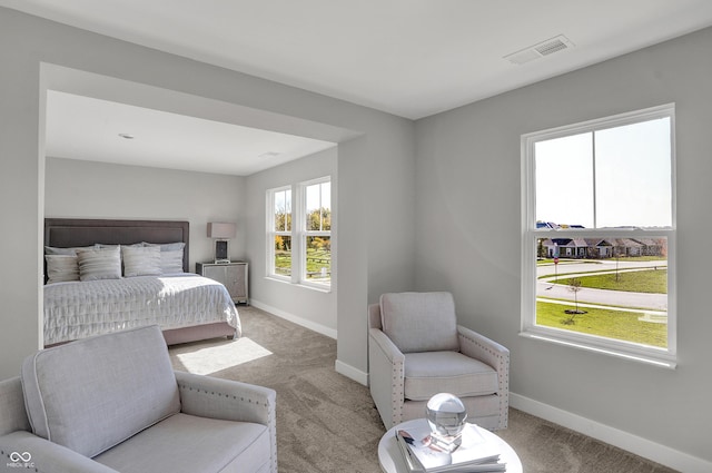 6683 Halsey St, Zionsville, IN 46077 - bedroom with light carpet and baseboards
