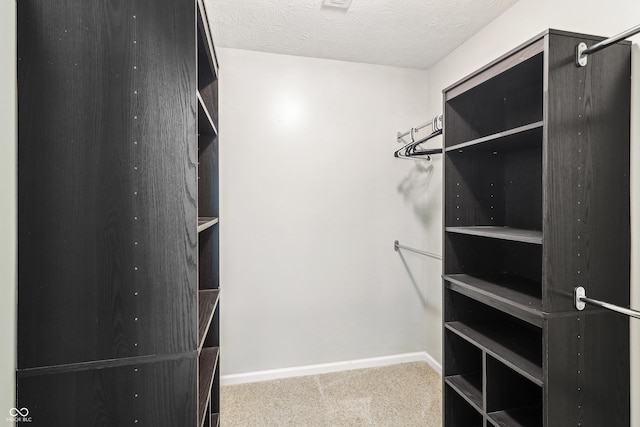 951 Parker Ln, Westfield, IN 46074 - walk in closet featuring carpet