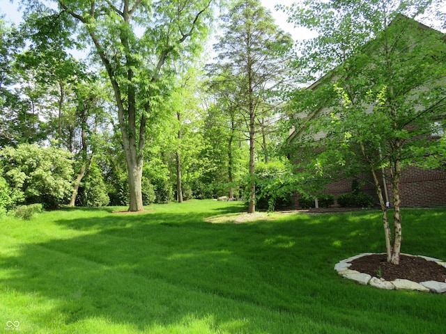 view of green lawn