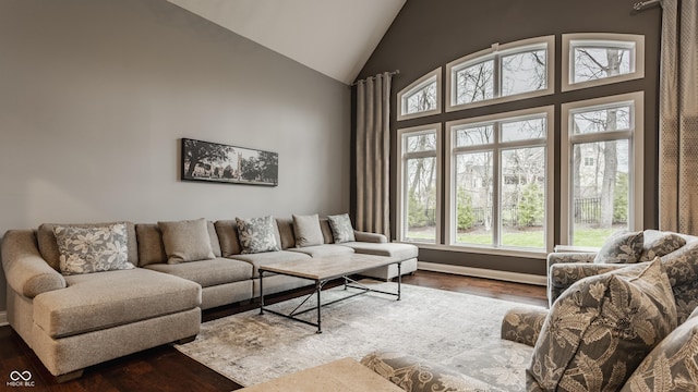 living room featuring high vaulted ceiling, wood finished floors, and healthy amount of natural light