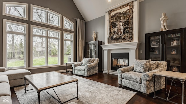 living room with dark wood-style floors, a multi sided fireplace, and high vaulted ceiling