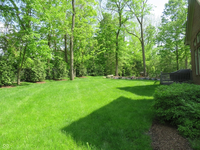 view of grassy yard