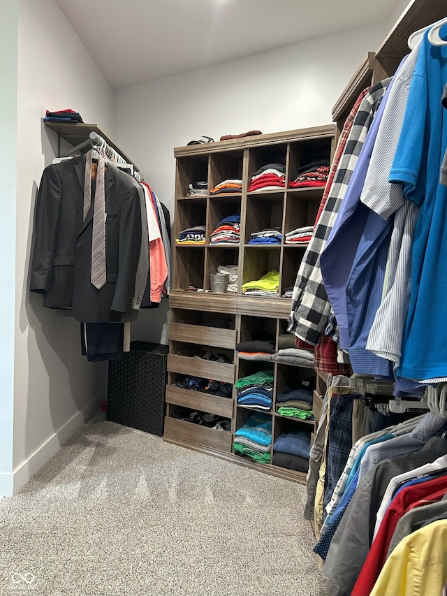 951 N Maiellen Dr, Greenfield, IN 46140 - spacious closet with carpet floors