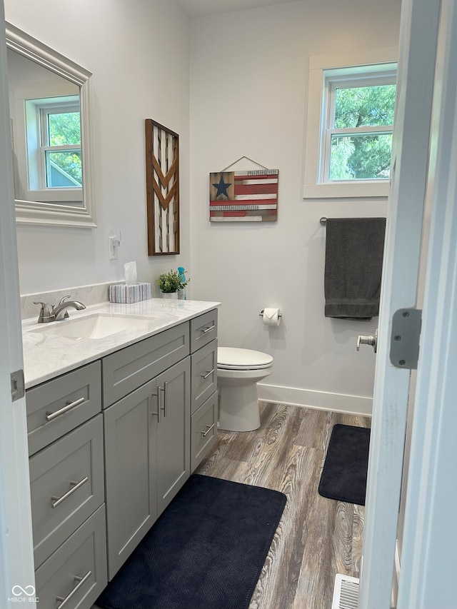 951 N Maiellen Dr, Greenfield, IN 46140 - bathroom featuring vanity, wood finished floors, toilet, and plenty of natural light