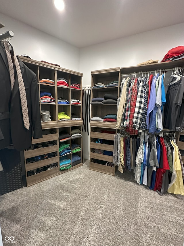 951 N Maiellen Dr, Greenfield, IN 46140 - walk in closet with carpet