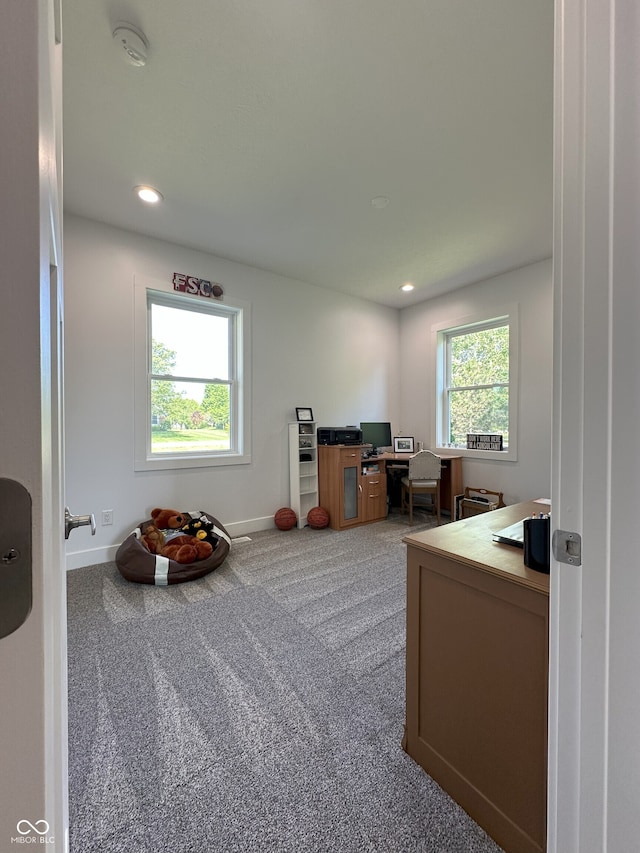 951 N Maiellen Dr, Greenfield, IN 46140 - office area with carpet, baseboards, and recessed lighting